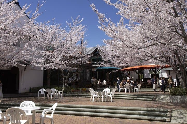 Nagano Sake Tasting Walking Tour — photo 19