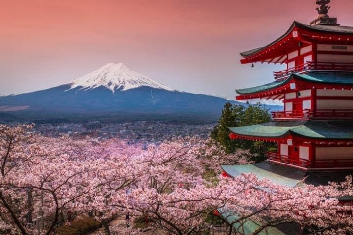 Fuji and Lake Kawaguchi Tour — photo 1