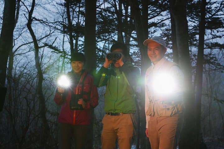 Wildlife Night Drive in Nagano, Japan — photo 5