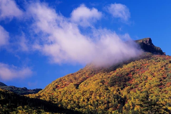 Daisetsuzan National Park and Kurodake Ropeway Autumn Tour — photo 9