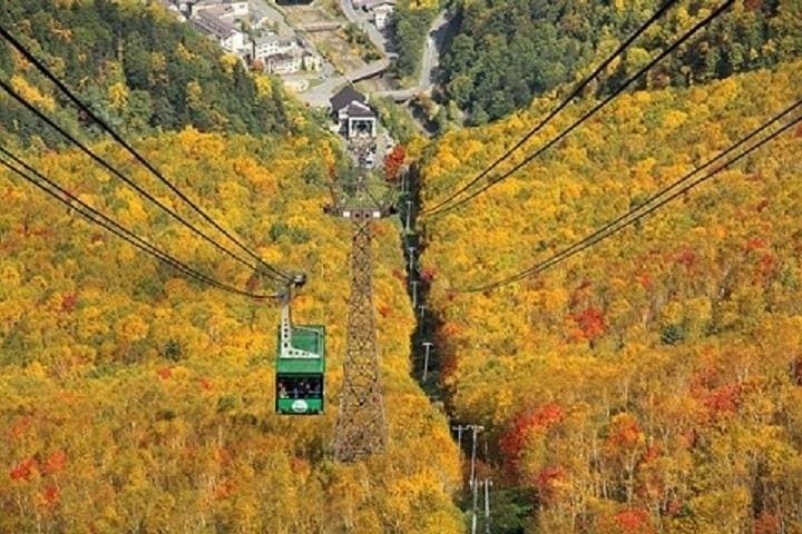 Daisetsuzan National Park and Kurodake Ropeway Autumn Tour — photo 2
