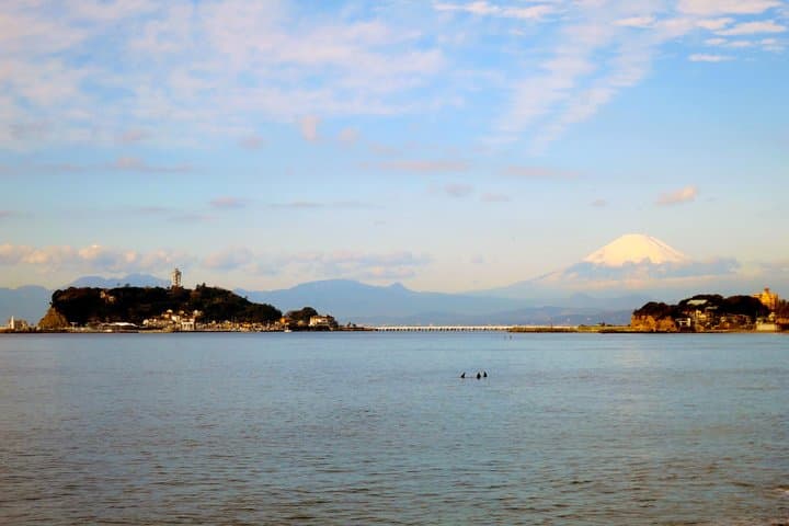 6-hour Kamakura tour by qualified guide using public transportation — photo 10
