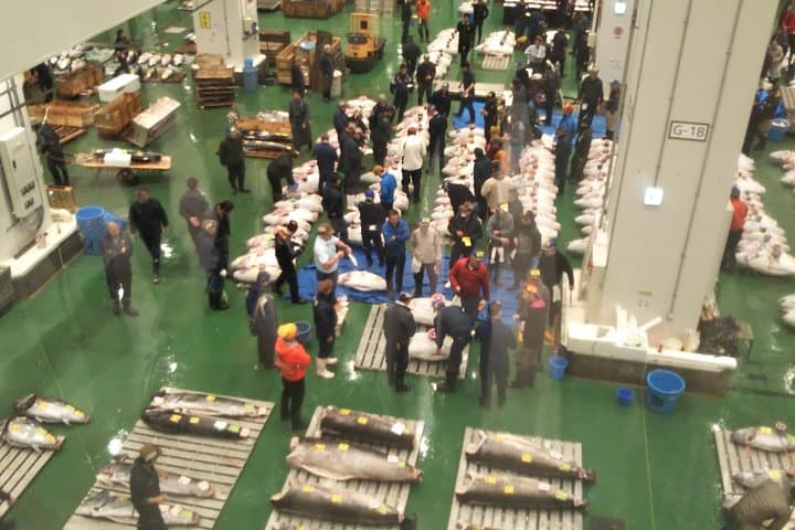 Tuna auction at Toyosu Market with qualified guide and early morning tour of Tsukiji Outer Market — photo 2