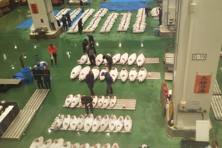 Tuna auction at Toyosu Market with qualified guide and early morning tour of Tsukiji Outer Market — photo 3