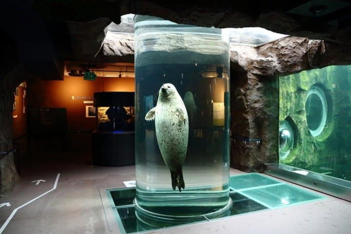 Hokkaido Highlights of Flower Blossom, Asahiyama Zoo& Blue pond「Aoi-ike」! — photo 12