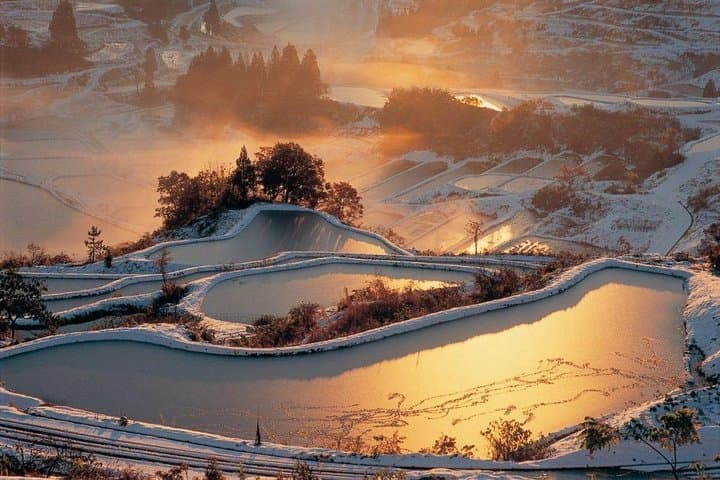 Niigata Full-Day Private Tour with Government-Licensed Guide — photo 11