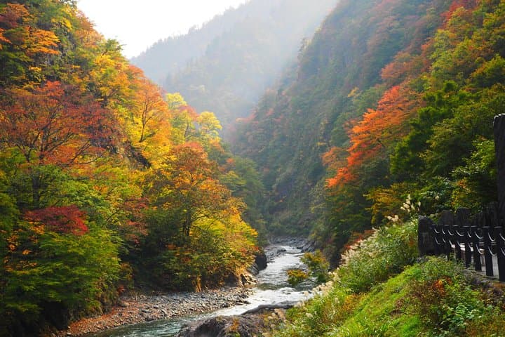 Niigata Full-Day Private Tour with Government-Licensed Guide — photo 15