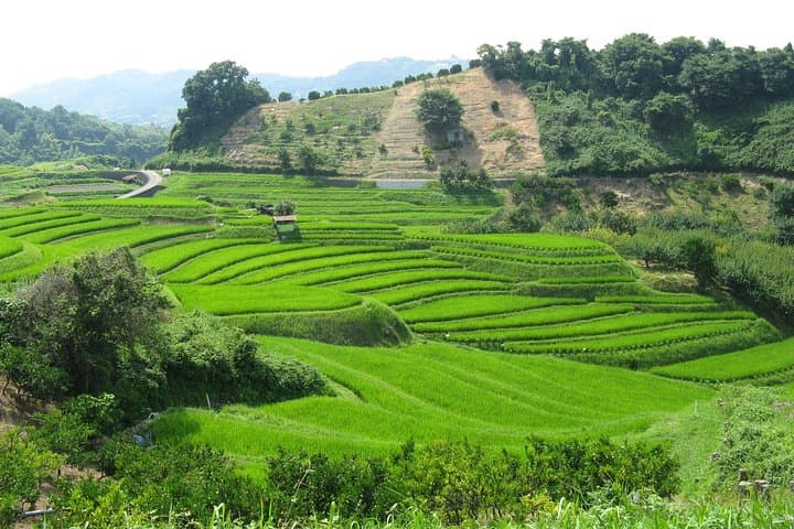 Okayama Full-Day Private Trip with Government-Licensed Guide — photo 5