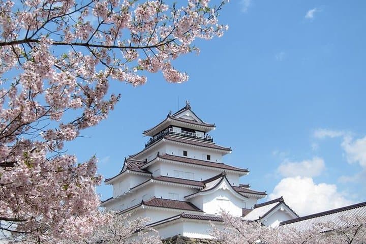Aizu 4hr Private Tour with Government-Licensed Guide