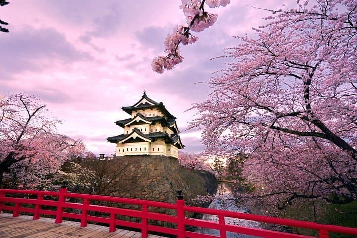 Hirosaki 6hr Private Tour with Government-Licensed Guide — photo 17