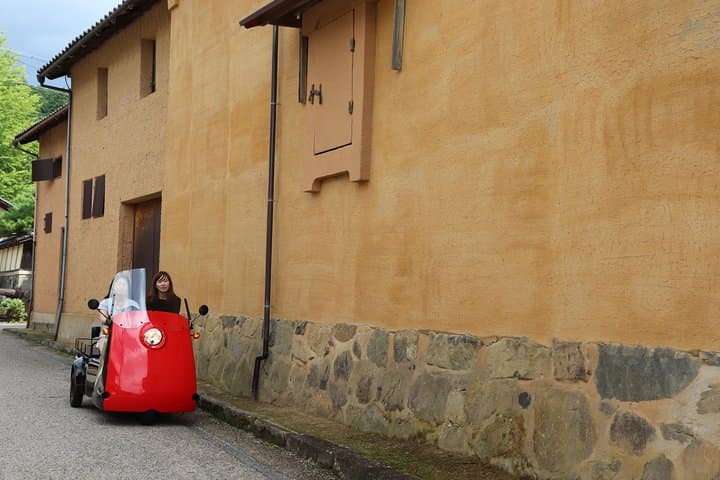 EV Car Rental Basket Group Local Tour & Guide — photo 6