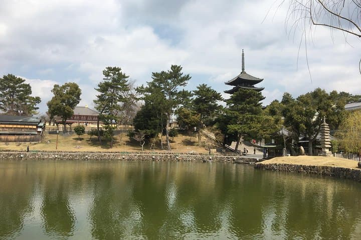 Full-Day Private Guided Tour to Nara Temples — photo 2