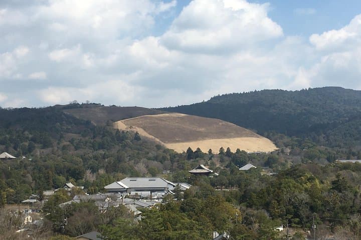 Full-Day Private Guided Tour to Nara Temples — photo 3