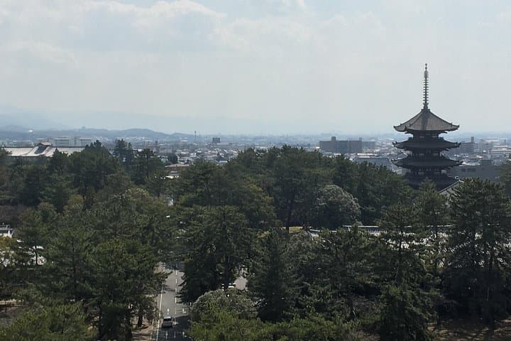 Full-Day Private Guided Tour to Nara Temples — photo 4