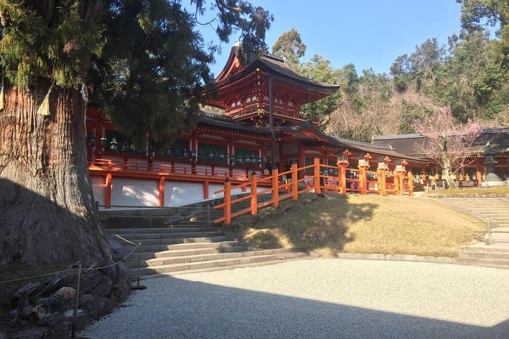 Full-Day Private Guided Tour to Nara Temples — photo 7