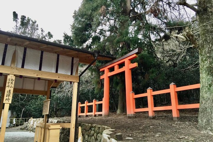 Full-Day Private Guided Tour to Nara Temples — photo 8