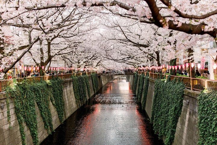 Tokyo Private Customizable Full Day Tour — photo 3