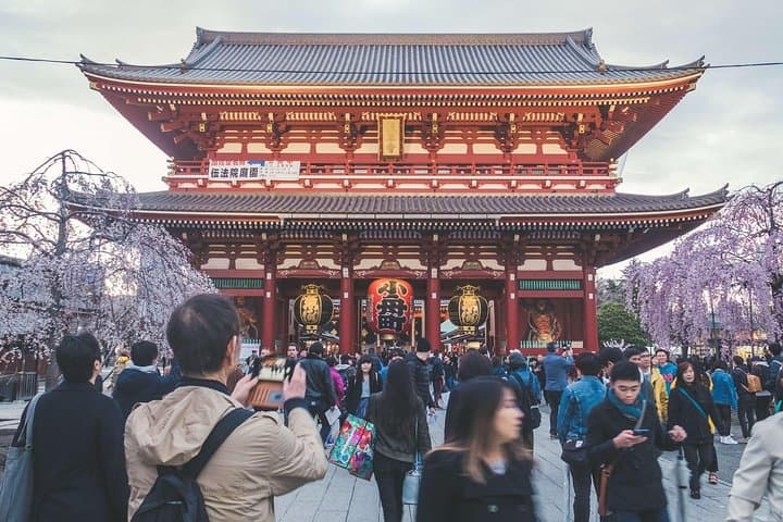 Tokyo Private Customizable Full Day Tour — photo 4