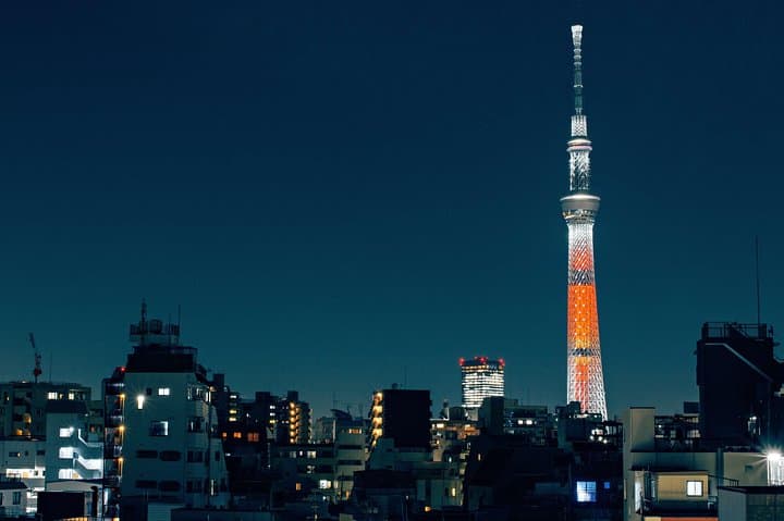 Tokyo Private Customizable Full Day Tour — photo 5