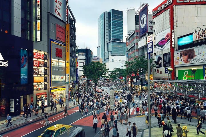 Tokyo Private Customizable Half Day Tour — photo 6
