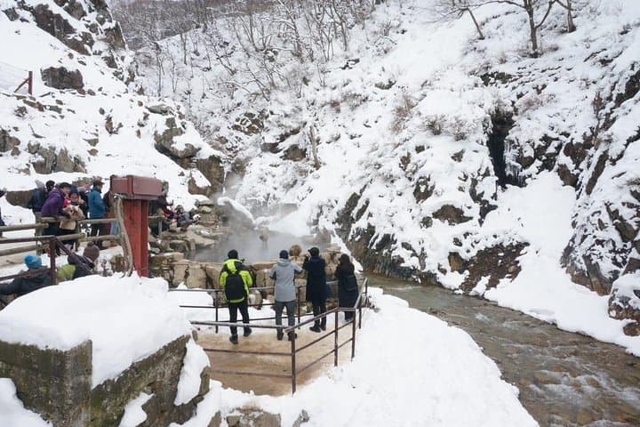 1-Day Winter Tour From Nozawa Onsen: Snow Monkeys, Zenko-ji Temple & Sake — photo 6