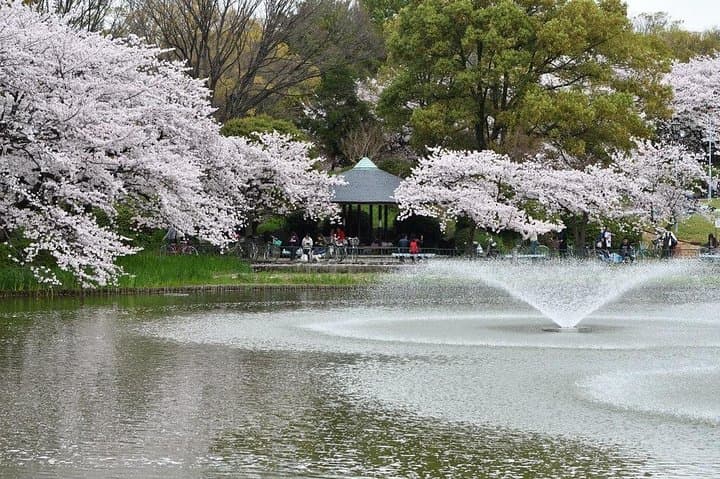 Nagoya Private Customizable Full Day Tour — photo 5