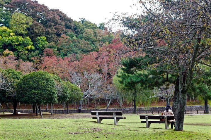 Nara Private Customizable Full Day Tour — photo 5