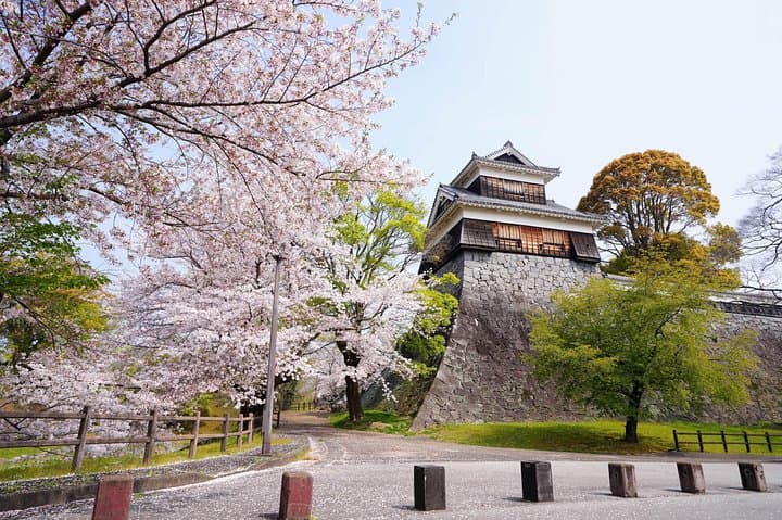 Kumamoto Private Customizable Half Day Tour — photo 2
