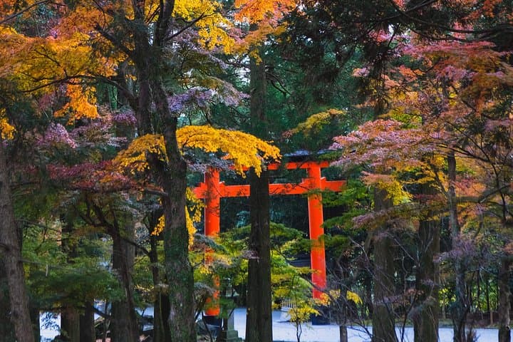 Kagoshima Private Customized Full Day Tour — photo 2