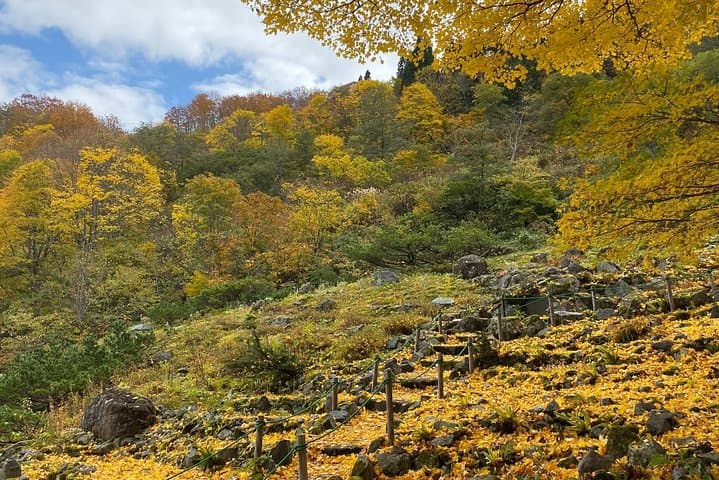 Niigata Private Customizable Full Day Tour — photo 4