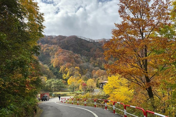 Niigata Private Customizable Full Day Tour — photo 5