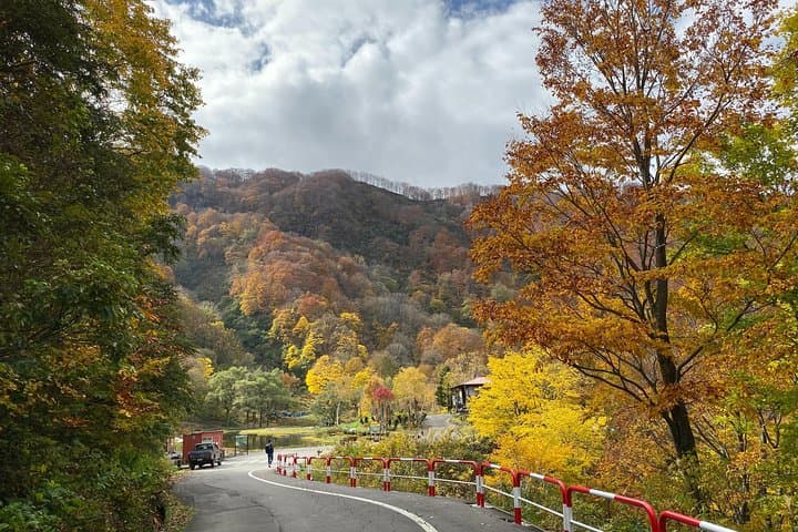 Niigata Private Customizable Half Day Tour — photo 5