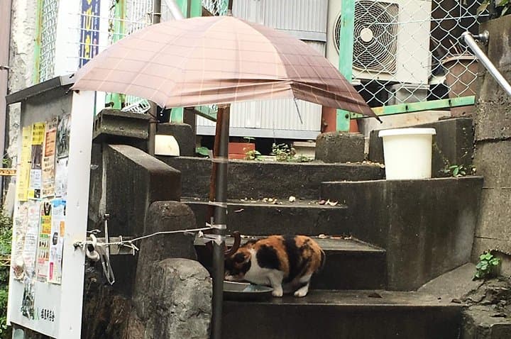 KOBE, SHIOYA, a quaint fishing town walking tour — photo 5