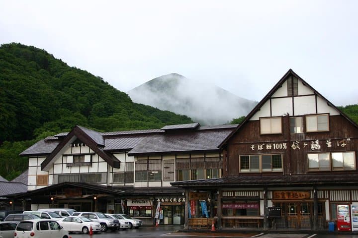 Half-Day Private Guided Japanese Hot Spring Experience — photo 4