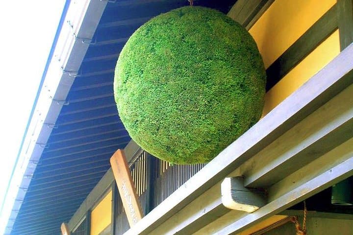 Sake Tasting: Educational Tour of Six Takayama Breweries — photo 4