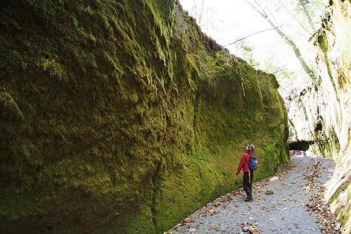 Private Day Trip of Lake Shikotsu and Moss Canyon — photo 5