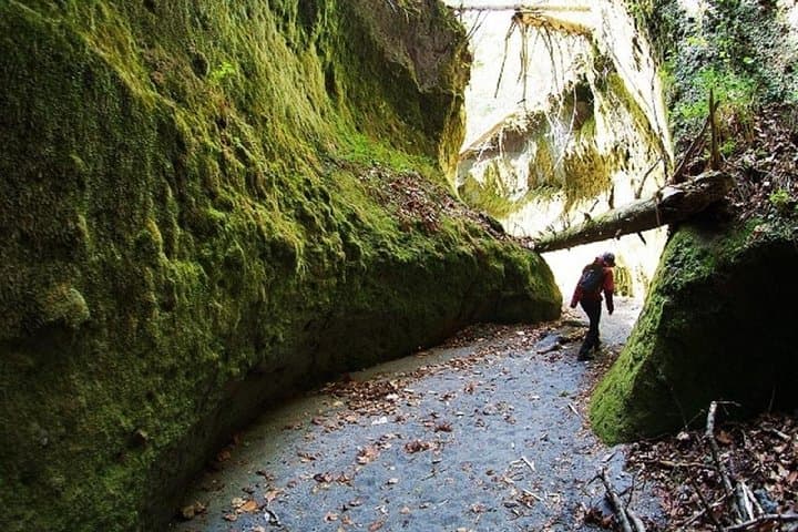 Private Day Trip of Lake Shikotsu and Moss Canyon — photo 2