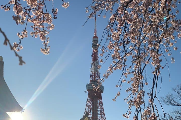 Best of Tokyo Private Custom Tour: Tsukiji, Asakusa & Meiji-jingu — photo 14