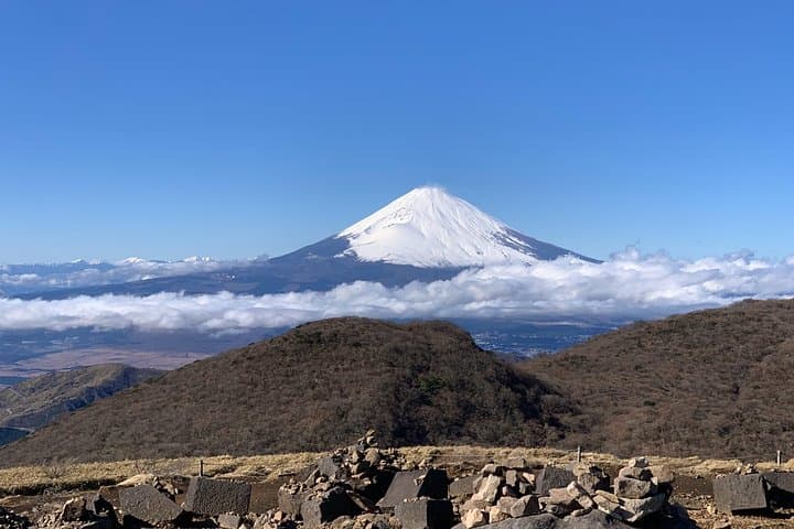 Hakone Private Two Day Tour from Tokyo with Overnight Stay in Ryokan — photo 6