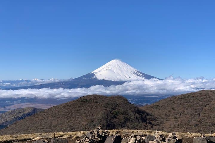 Hakone Private One Day Tour From Tokyo: Mt Fuji, Lake Ashi, Hakone National Park — photo 3