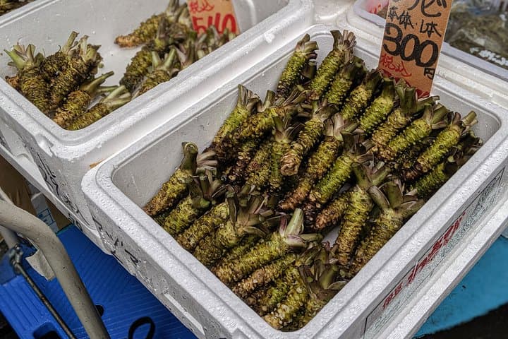 Old Meets New: Fish Market Tour Of Tokyo — photo 7