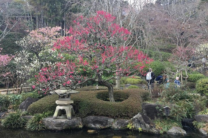 Kamakura flower tour — photo 1