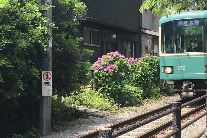 Kamakura flower tour — photo 9