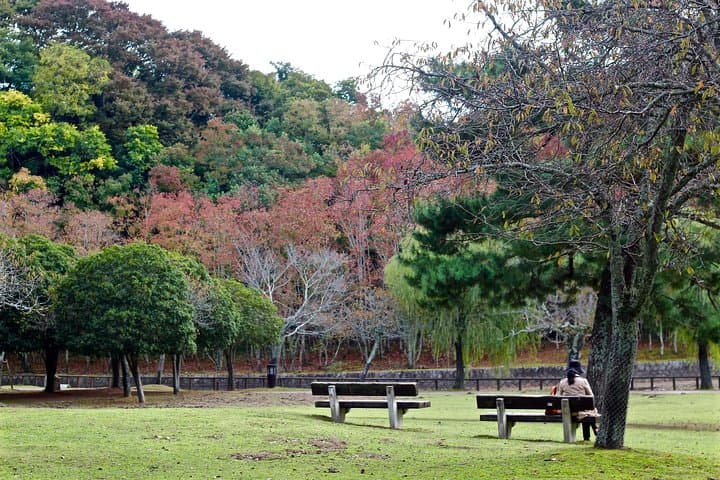 Nara Private Customizable Half Day Tour — photo 5