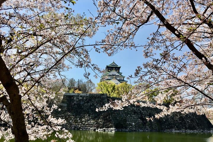 Full-Day Private Guided Tour to Historical Osaka — photo 9