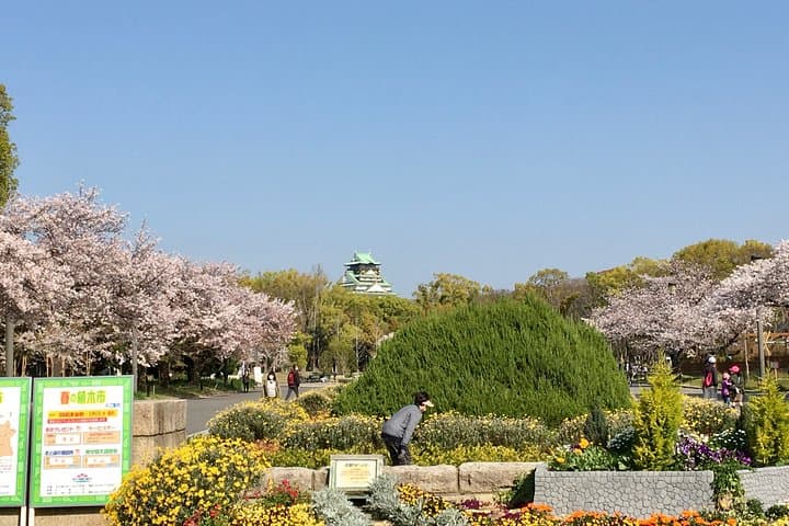 Full-Day Private Guided Tour to Historical Osaka — photo 7