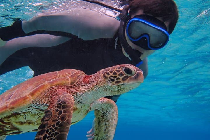 Okinawa Miyakojima Half Day SUPor Canoe & Sea Turtle Snorkeling (Half Day Set) — photo 10