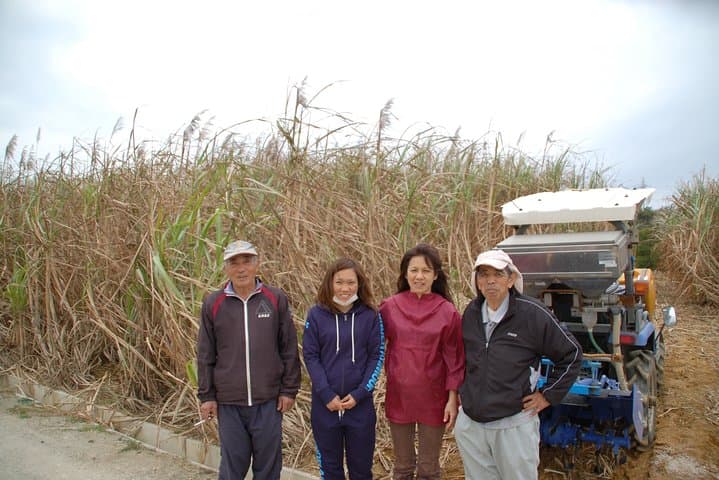 Sugarcane cutting experience with Okinawa's grandfather — photo 2