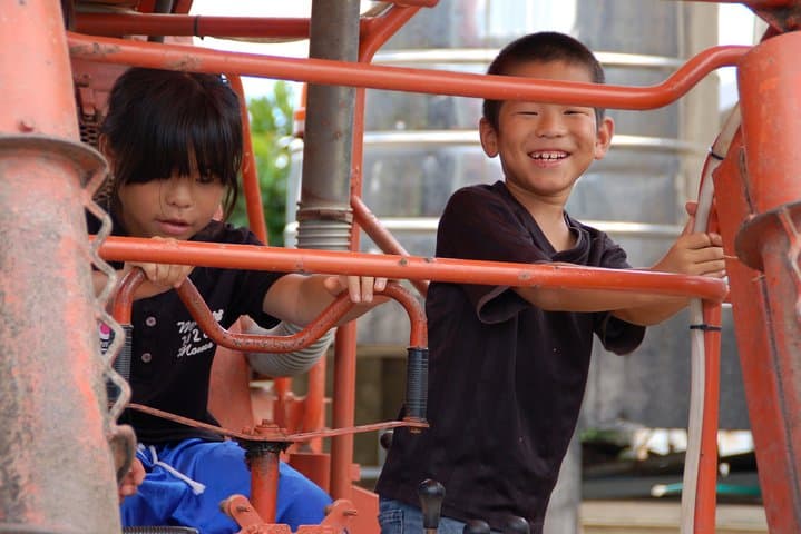 Sugarcane cutting experience with Okinawa's grandfather — photo 5