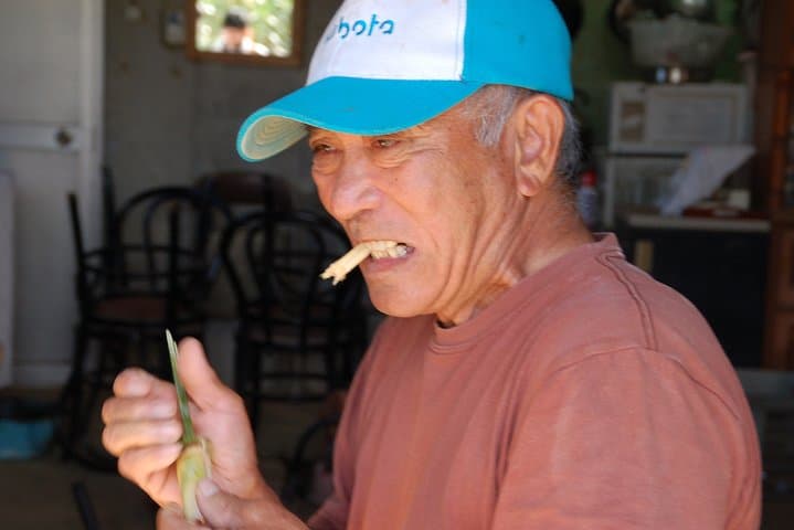Sugarcane cutting experience with Okinawa's grandfather — photo 6
